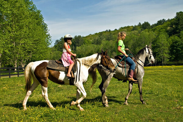 Reiten im Bayerischen Wald